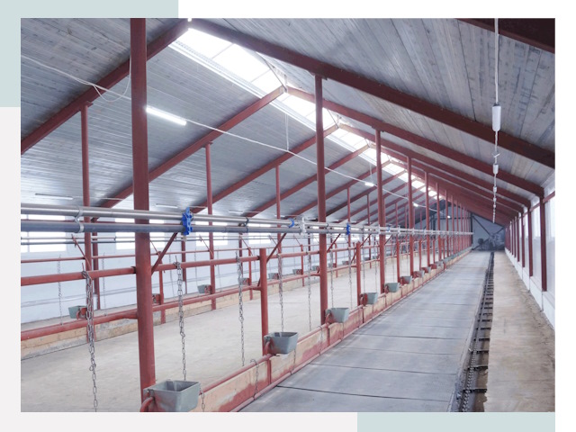 Строительство коровников в Зеленодольске от 621 руб.