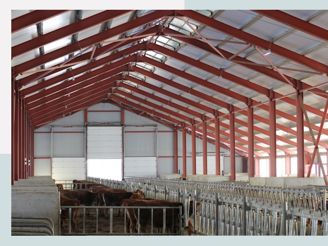 Строительство коровников в Зеленодольске