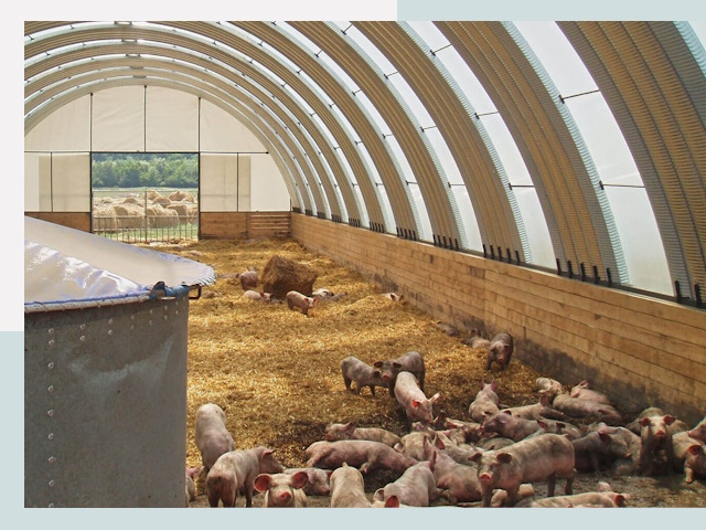 Строительство свинарников в Зеленодольске