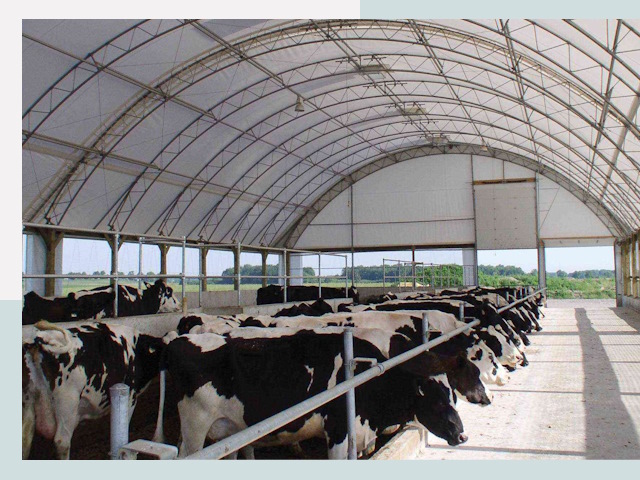Тентовые коровники в Зеленодольске